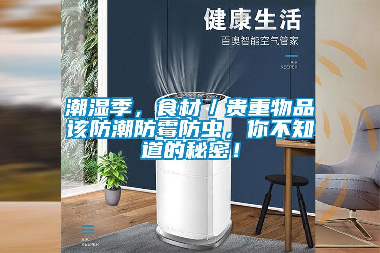 潮濕季，食材／貴重物品該防潮防霉防蟲，你不知道的秘密！
