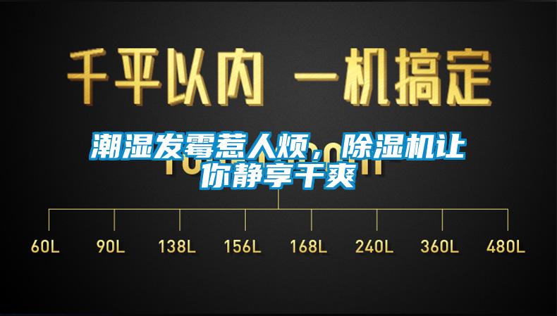 潮濕發(fā)霉惹人煩，除濕機讓你靜享干爽