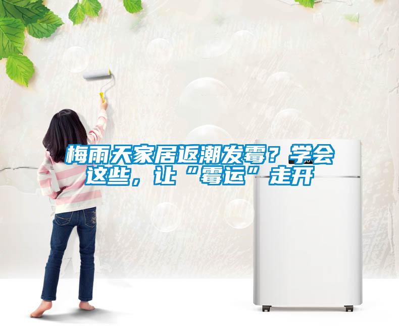 梅雨天家居返潮發(fā)霉？學(xué)會這些，讓“霉運”走開