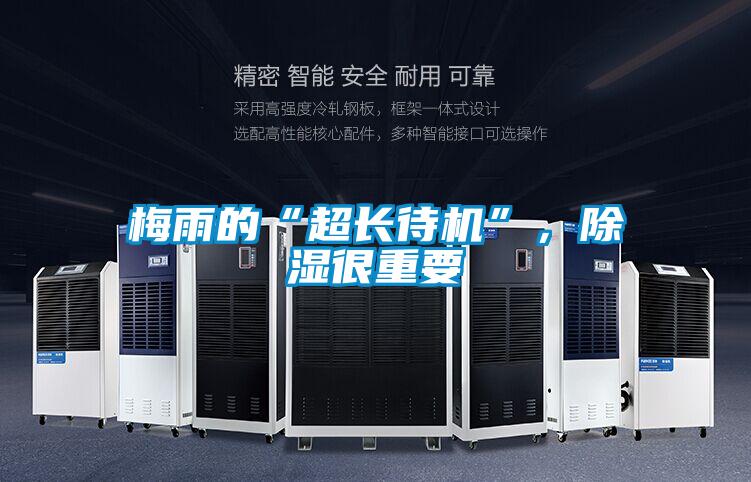 梅雨的“超長待機”，除濕很重要