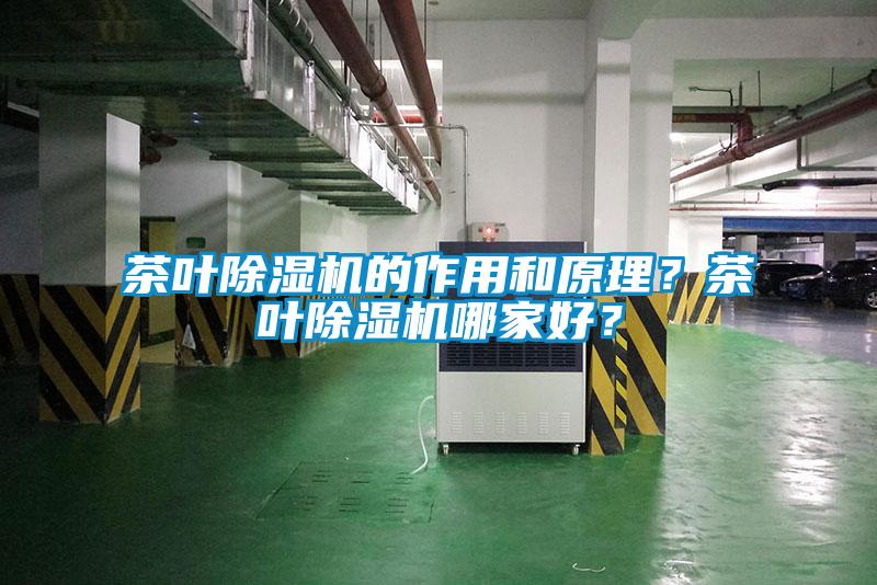 茶葉除濕機的作用和原理？茶葉除濕機哪家好？