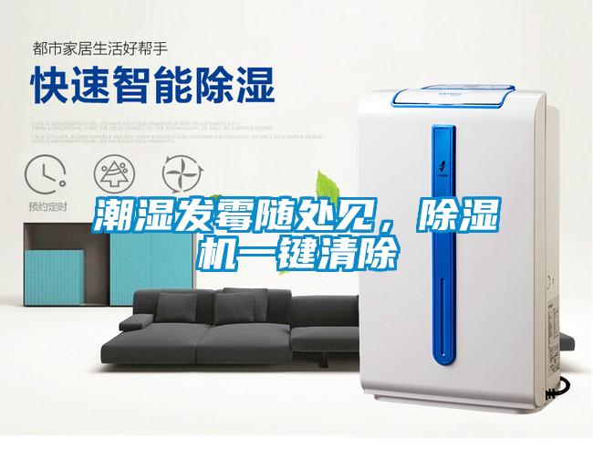 潮濕發(fā)霉隨處見，除濕機一鍵清除