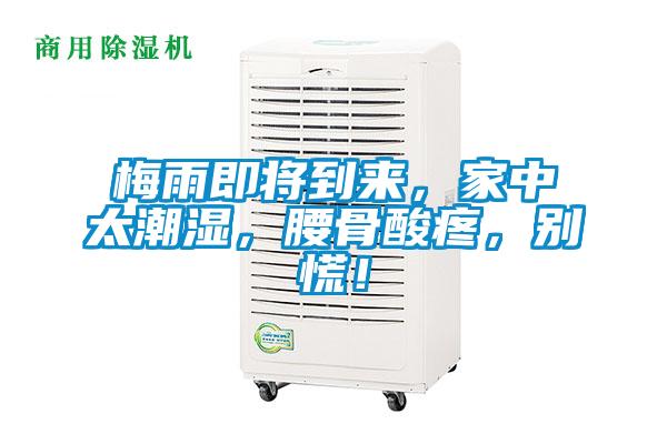 梅雨即將到來，家中太潮濕，腰骨酸疼，別慌！