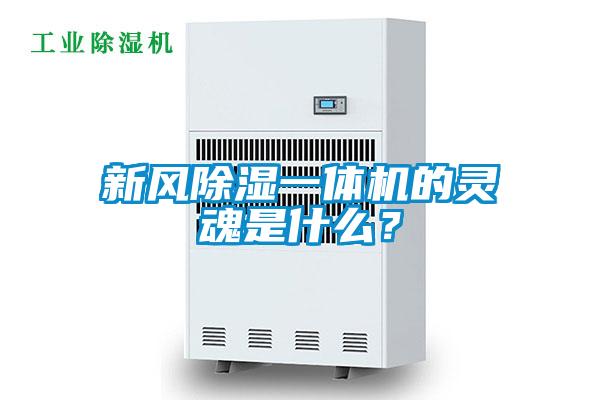 新風(fēng)除濕一體機的靈魂是什么？