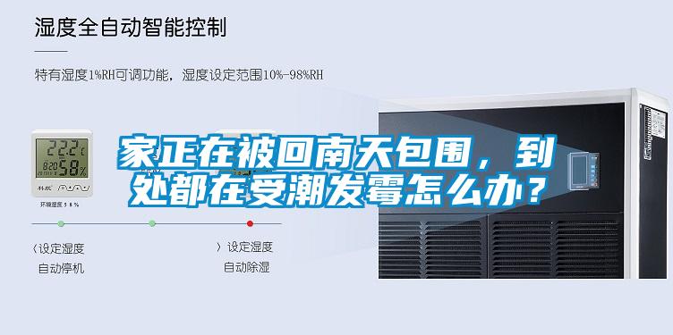 家正在被回南天包圍，到處都在受潮發(fā)霉怎么辦？