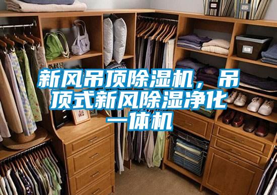 新風(fēng)吊頂除濕機(jī)，吊頂式新風(fēng)除濕凈化一體機(jī)