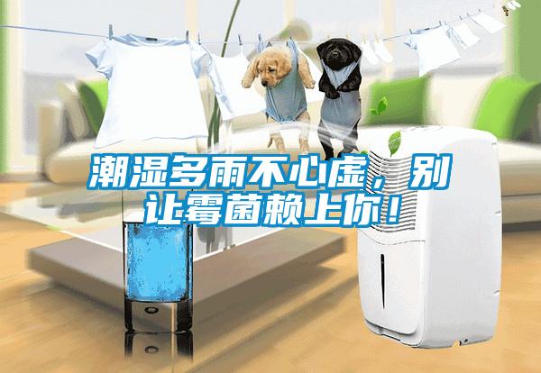 潮濕多雨不心虛，別讓霉菌賴上你！