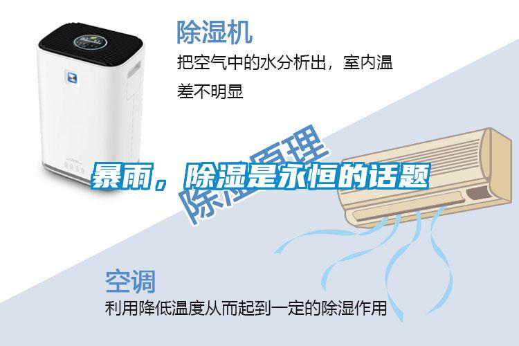 暴雨，除濕是永恒的話題