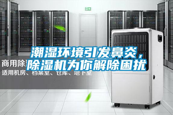 潮濕環(huán)境引發(fā)鼻炎，除濕機為你解除困擾