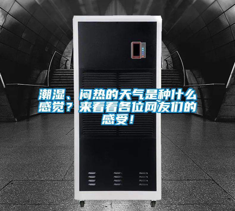 潮濕、悶熱的天氣是種什么感覺？來看看各位網(wǎng)友們的感受！