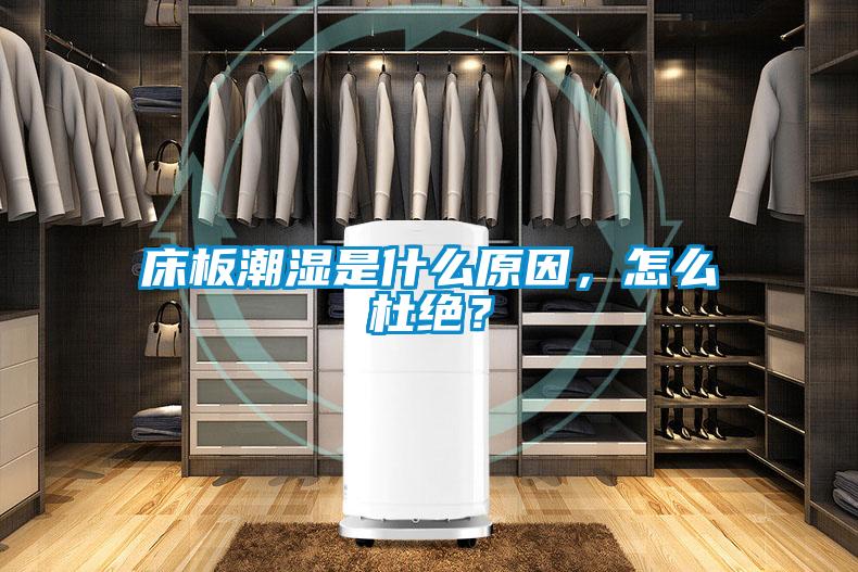 床板潮濕是什么原因，怎么杜絕？