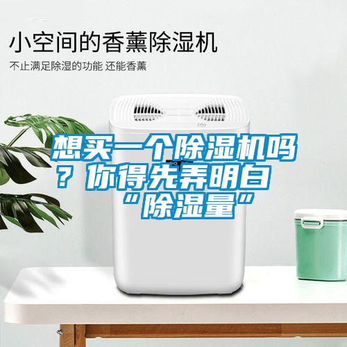 想買一個除濕機嗎？你得先弄明白“除濕量”