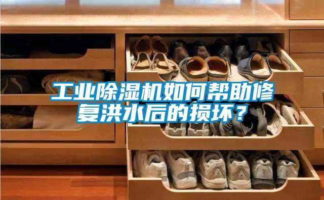 工業(yè)除濕機如何幫助修復(fù)洪水后的損壞？