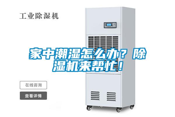家中潮濕怎么辦？除濕機(jī)來幫忙！