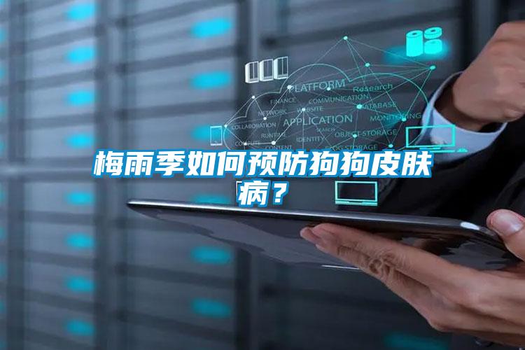 梅雨季如何預(yù)防狗狗皮膚??？