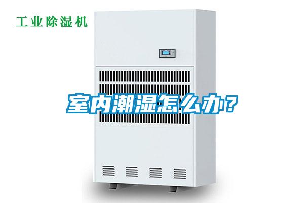 室內潮濕怎么辦？