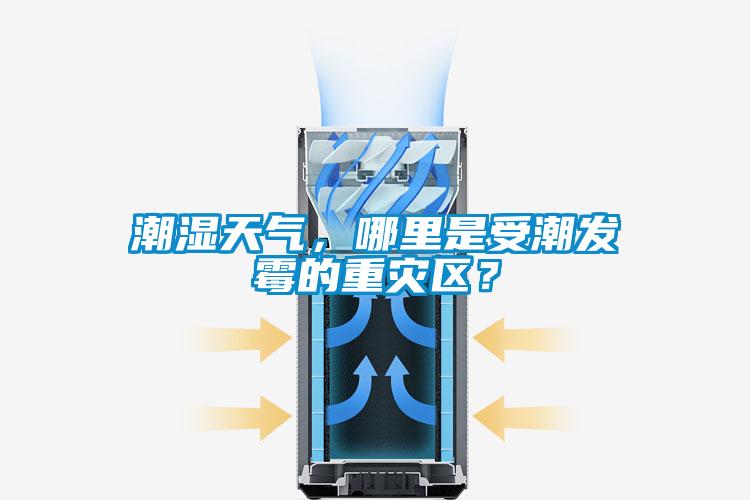 潮濕天氣，哪里是受潮發(fā)霉的重災(zāi)區(qū)？