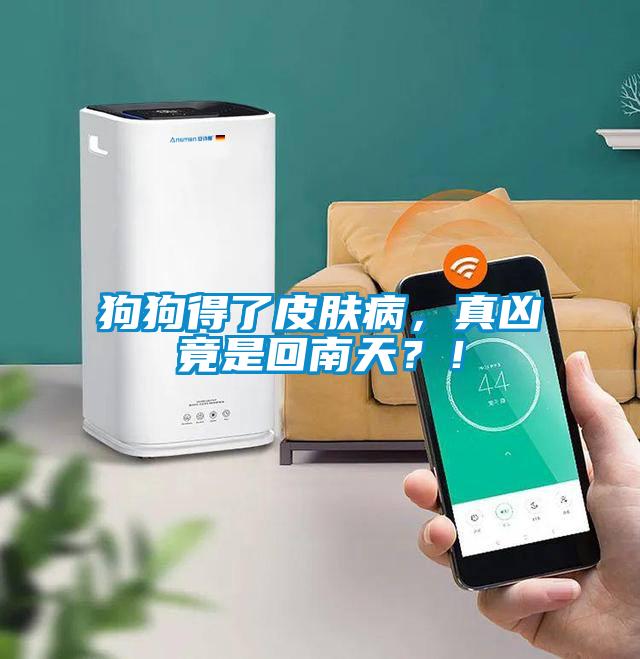 狗狗得了皮膚病，真兇竟是回南天？！