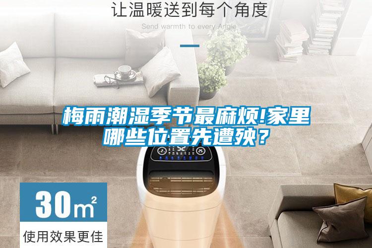 梅雨潮濕季節(jié)最麻煩!家里哪些位置先遭殃？