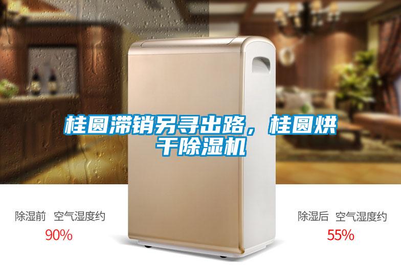 桂圓滯銷(xiāo)另尋出路，桂圓烘干除濕機(jī)
