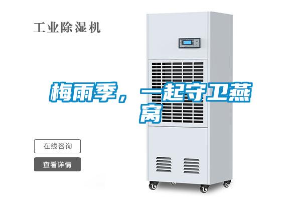 梅雨季，一起守衛(wèi)燕窩