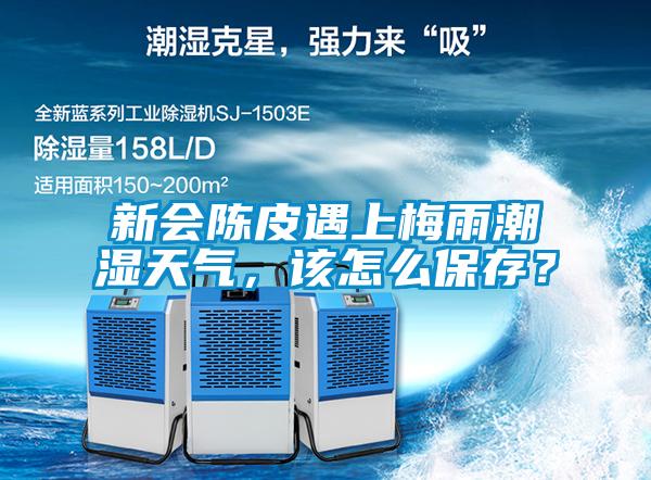 新會陳皮遇上梅雨潮濕天氣，該怎么保存？