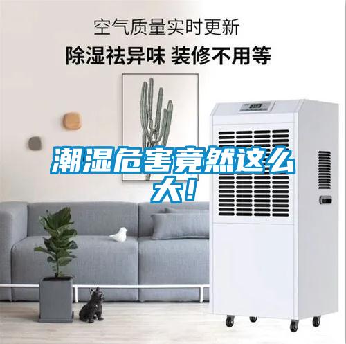潮濕危害竟然這么大！