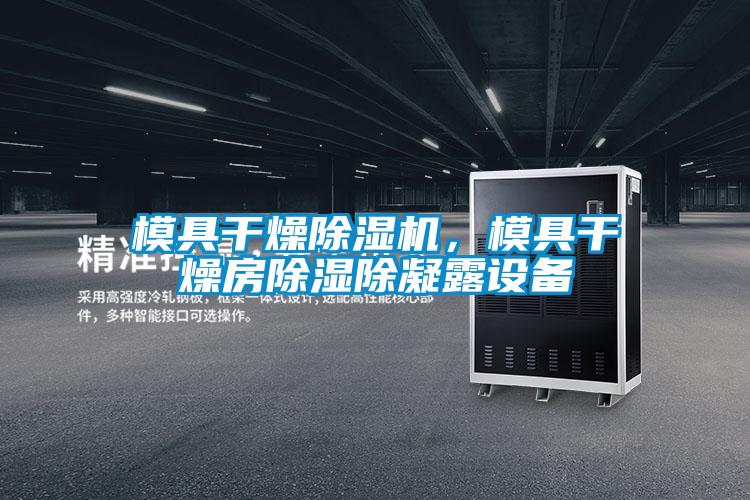 模具干燥除濕機(jī)，模具干燥房除濕除凝露設(shè)備