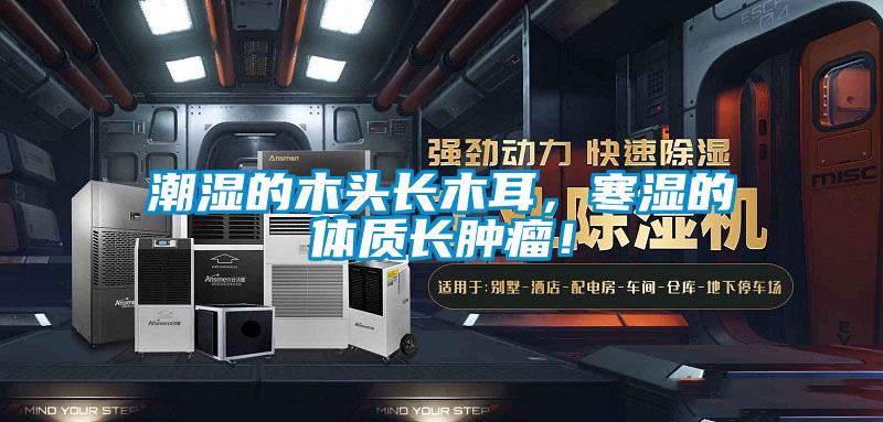 潮濕的木頭長木耳，寒濕的體質(zhì)長腫瘤！