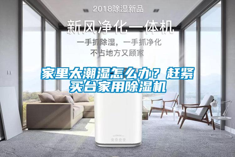 家里太潮濕怎么辦？趕緊買(mǎi)臺(tái)家用除濕機(jī)