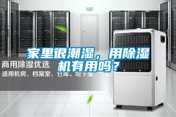 家里很潮濕，用除濕機(jī)有用嗎？