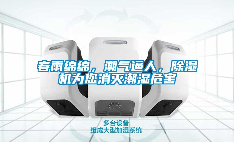 春雨綿綿，潮氣逼人，除濕機(jī)為您消滅潮濕危害