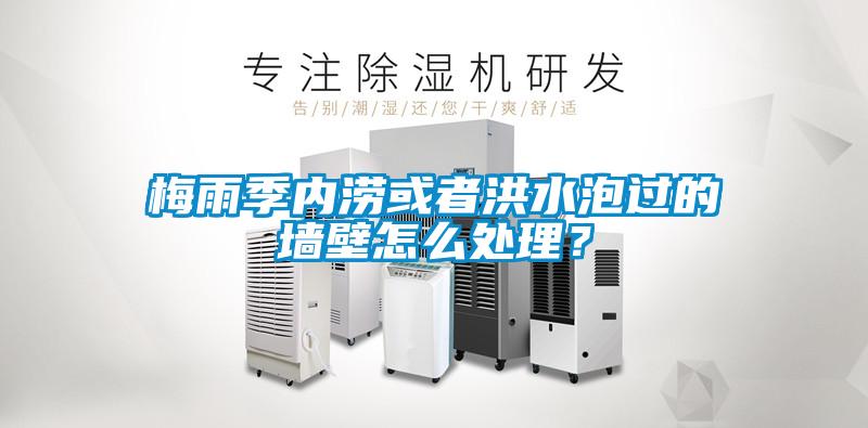 梅雨季內(nèi)澇或者洪水泡過的墻壁怎么處理？