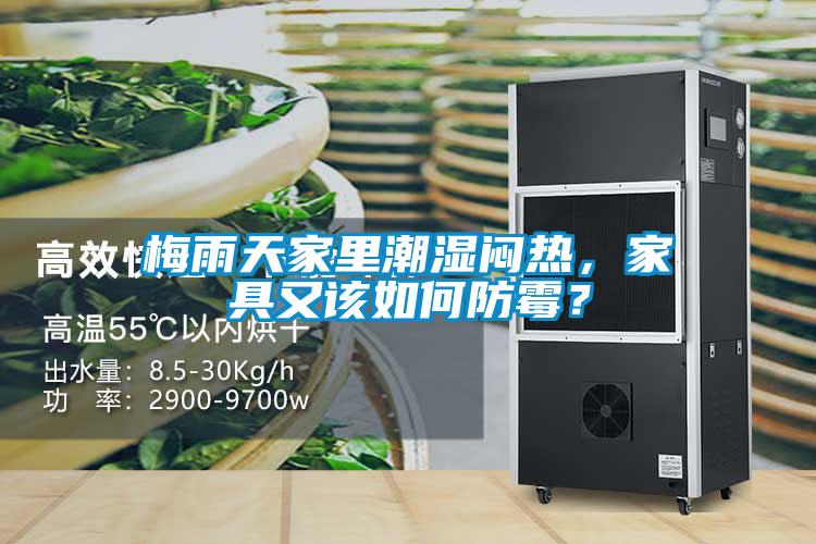 梅雨天家里潮濕悶熱，家具又該如何防霉？