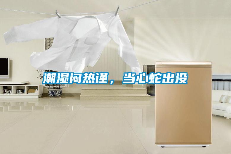 潮濕悶熱謹(jǐn)，當(dāng)心蛇出沒