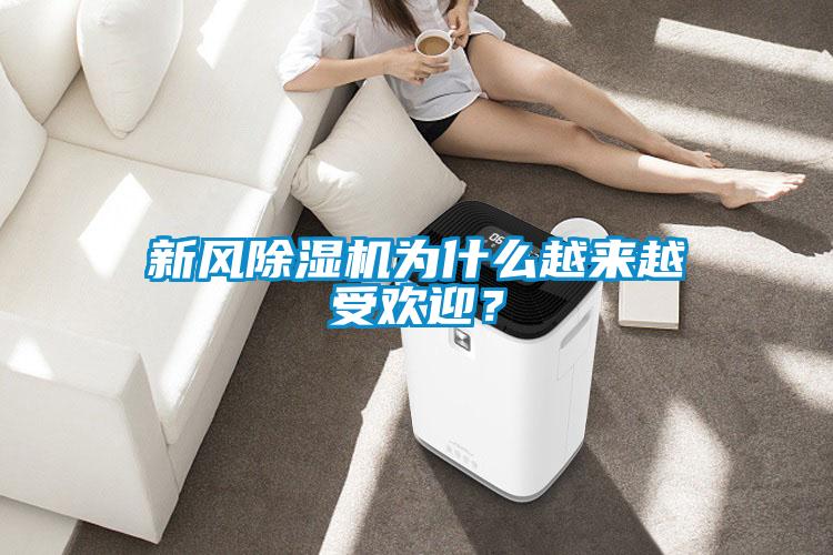 新風(fēng)除濕機為什么越來越受歡迎？