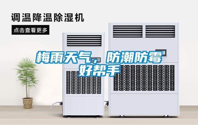 梅雨天氣，防潮防霉好幫手