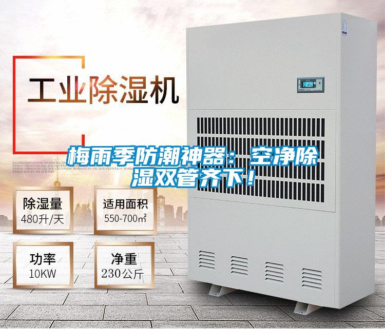 梅雨季防潮神器：空凈除濕雙管齊下！