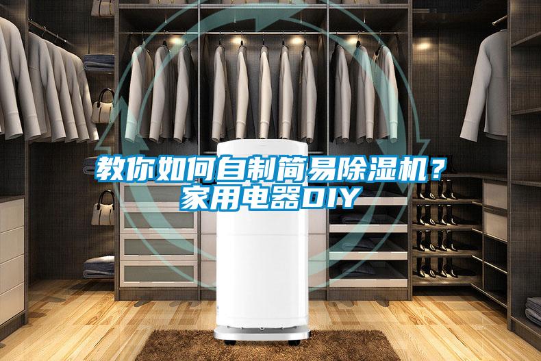 教你如何自制簡(jiǎn)易除濕機(jī)？家用電器DIY