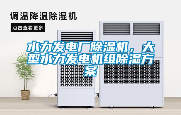 水力發(fā)電廠除濕機(jī)，大型水力發(fā)電機(jī)組除濕方案