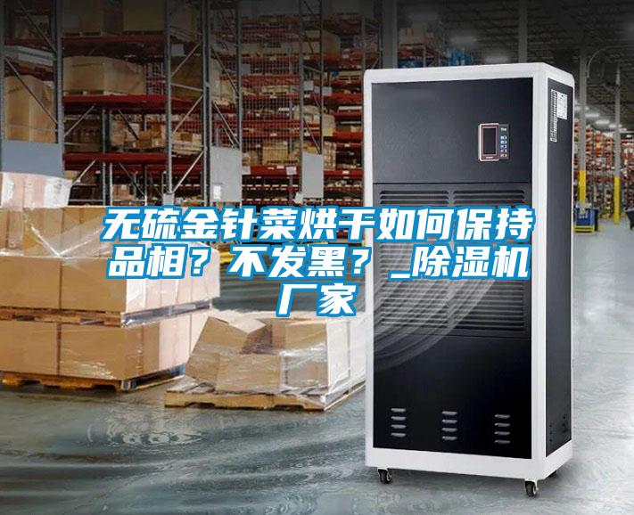 無硫金針菜烘干如何保持品相？不發(fā)黑？_除濕機廠家