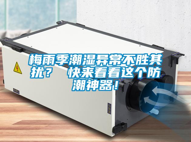 梅雨季潮濕異常不勝其擾？ 快來看看這個防潮神器！