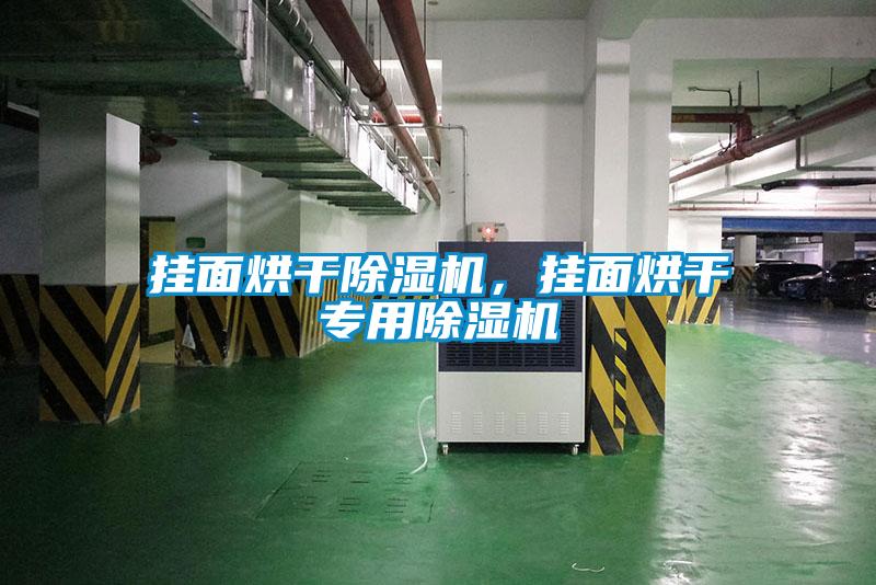 掛面烘干除濕機，掛面烘干專用除濕機