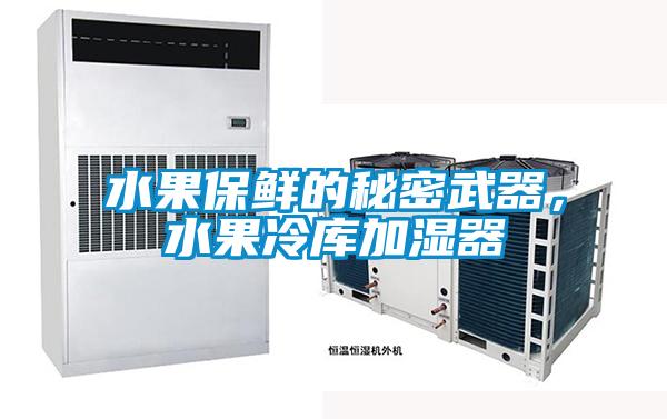 水果保鮮的秘密武器，水果冷庫加濕器