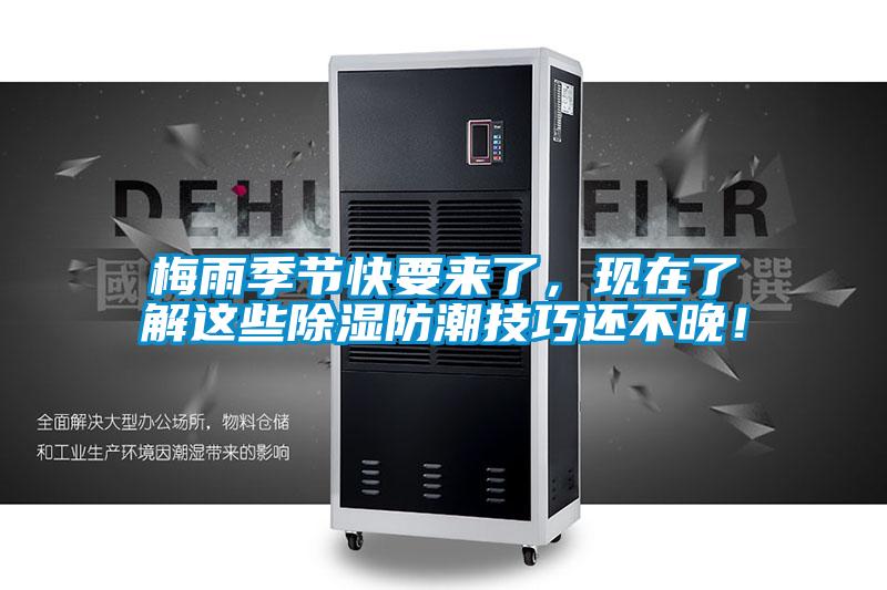 梅雨季節(jié)快要來(lái)了，現(xiàn)在了解這些除濕防潮技巧還不晚！