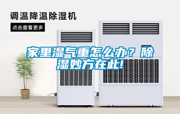 家里濕氣重怎么辦？除濕妙方在此!