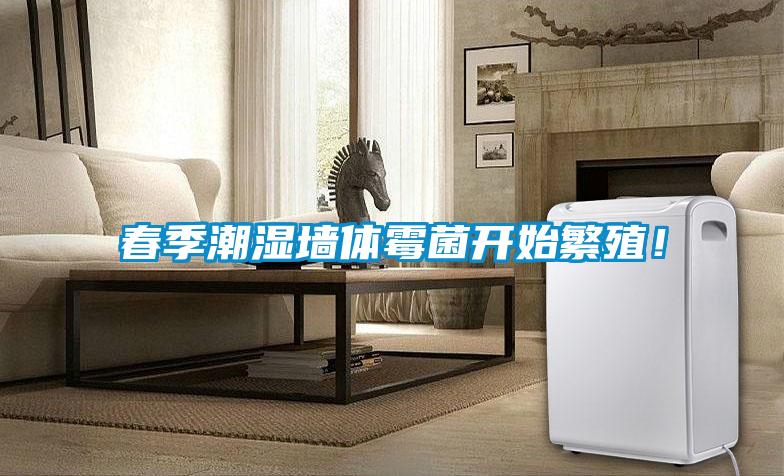 春季潮濕墻體霉菌開始繁殖！