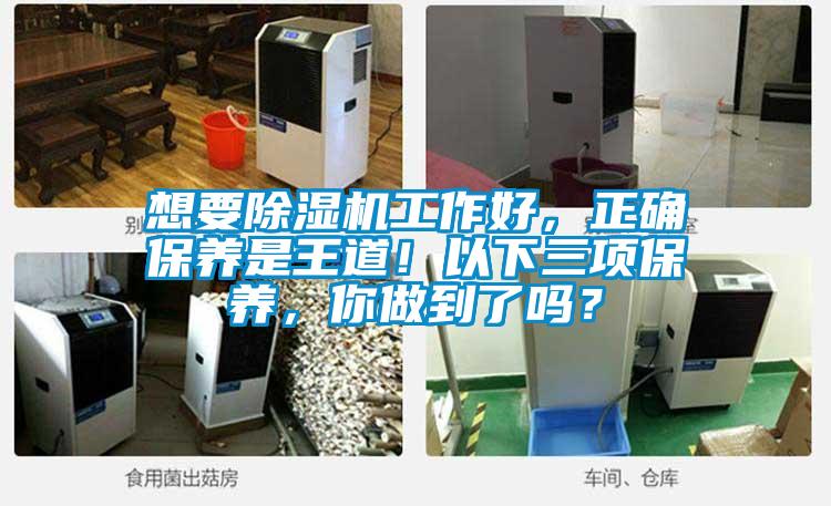 想要除濕機工作好，正確保養(yǎng)是王道！以下三項保養(yǎng)，你做到了嗎？