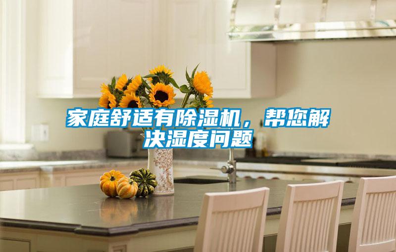 家庭舒適有除濕機，幫您解決濕度問題