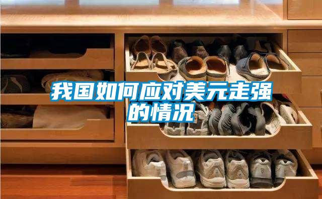 我國如何應(yīng)對美元走強的情況